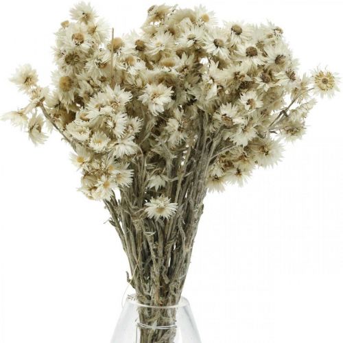Mini Szalmavirág Fehér Szárított Virág Deco Sziklavirág H20cm 15g