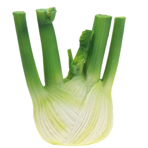 Floristik24 Édeskömény 15 cm