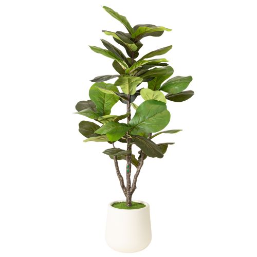Mesterséges fikusz (Ficus lyrata) 120 cm-es dísznövény nappaliba | Floristik24.hu