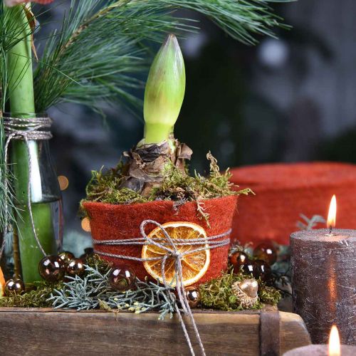 Floristik24 Filc szalag, pot szalag, gyapjú filc piros, arany csillogó 15cm 5m