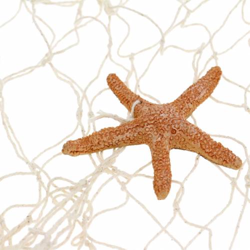 tételeket Halászháló tengeri díszítéssel 150×200cm natúr polirezin faldíszként
