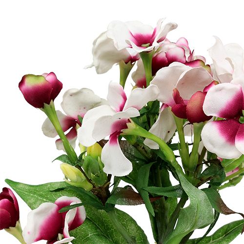 Floristik24 Lángvirág fehér 72cm