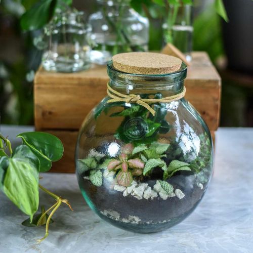 Floristik24 Palack kerti készlet üveg parafa fedéllel és szerszámokkal Ø21cm H25cm