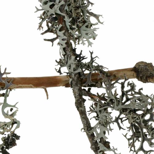 tételeket Lichen moha szürke moha ágakkal 750g