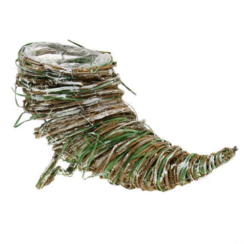 Floristik24 Fűz növény bőségszaru H20cm