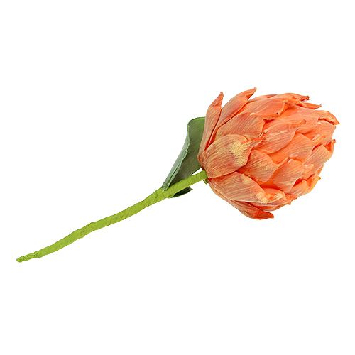 Floristik24 Hab articsóka narancs 14cm L28cm 1db