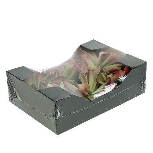 Floristik24 Hab virág Ø12cm zöld / piros 6db