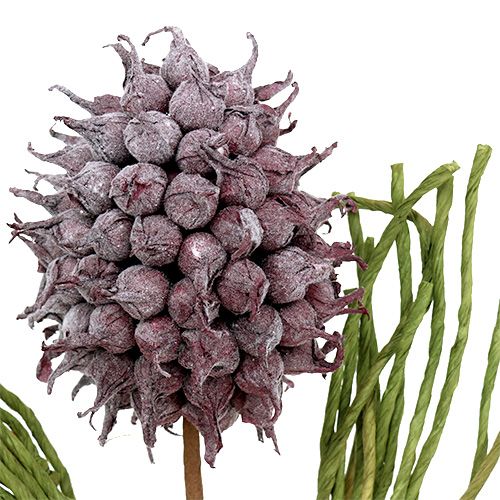 Floristik24 Habvirágú művirág lila L65cm