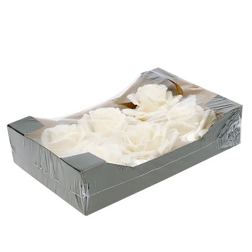 Floristik24 Habrózsa fehér Ø10cm havas 6db