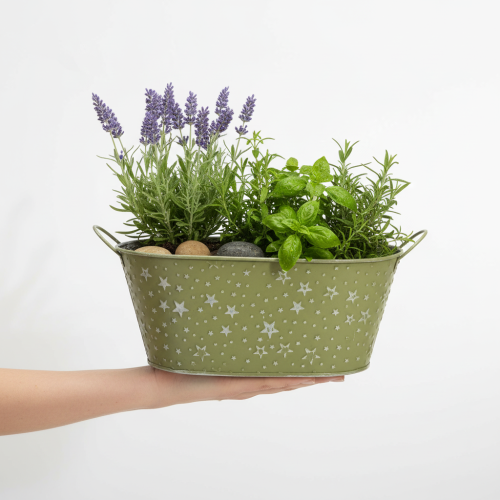 tételeket Ovális fémtál csillagokkal és fülekkel, zöld, 31×16cm, M12.5cm