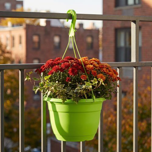 Függesztett kosár 25cm zöld | Floristik24.hu