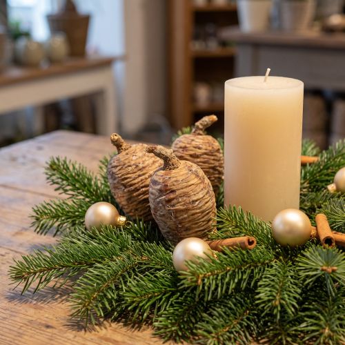 Cédrustobozok, díszcédrus, natúr, 9-10,5 cm, 3 darab | Floristik24.hu