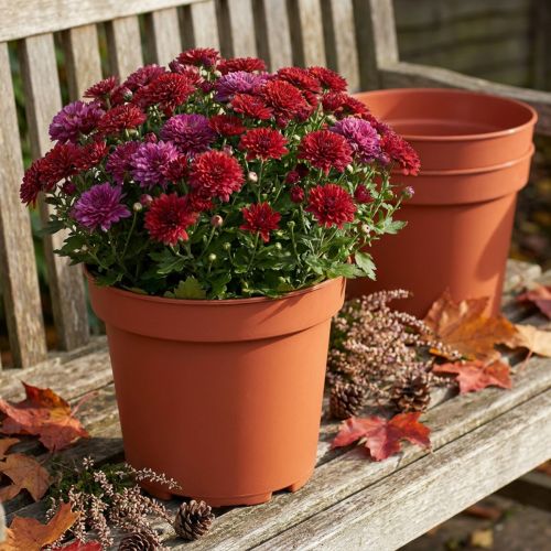 Növénycserép műanyag Ø23cm 10db | Floristik24.hu