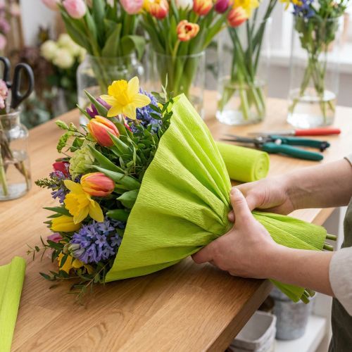 Virágüzlet krepp papír május zöld 50x250cm | Floristik24.hu