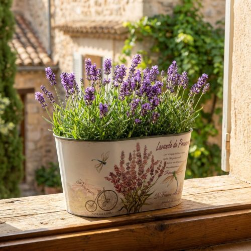 Virágtál ovális levendula virágcserép műanyag 21,5×12,5cm H11cm | Floristik24.hu