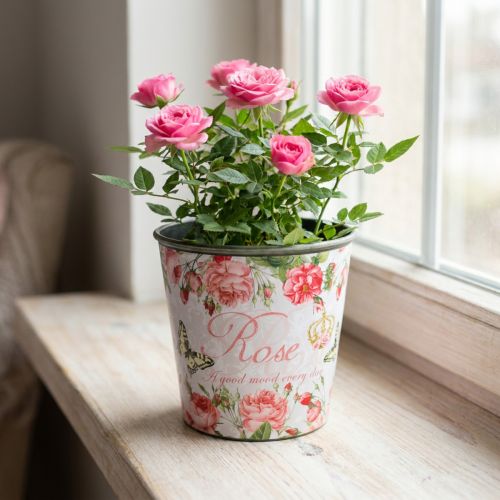 Ültetőgép, vödör ültetéshez, ültetőgép rózsával H13cm Ø13,5cm | Floristik24.hu