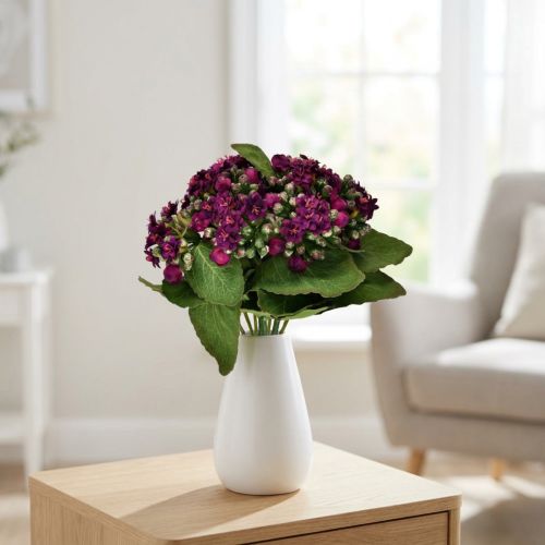 Lángoló Käthchen Kalanchoe műlila 24cm | Floristik24.hu