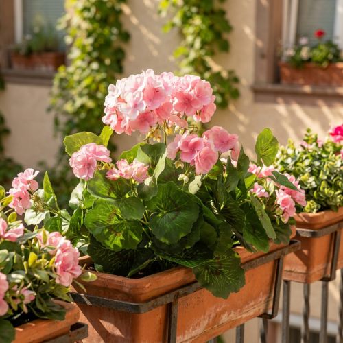 Muskátli művirág Rózsaszín muskátli bokor mű 7 virág H38cm | Floristik24.hu