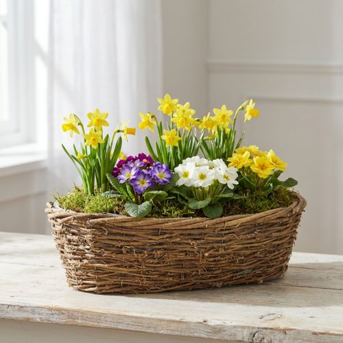 Természetes Szőlő Virágcserép Ovális 40x19x11.5cm | Floristik24.hu