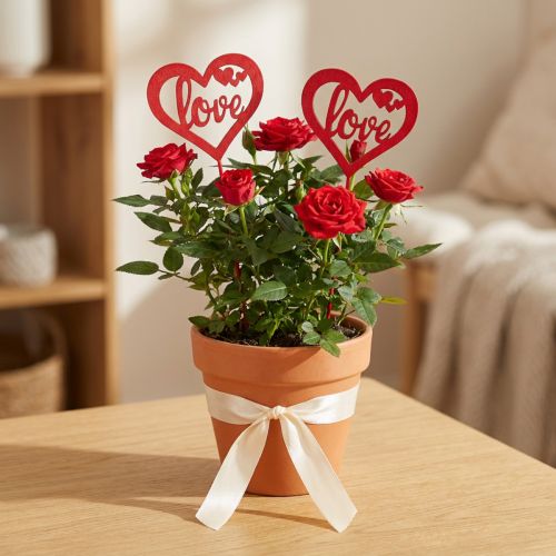 Virágdugó szív piros fa díszdugó Love 7cm 12db | Floristik24.hu