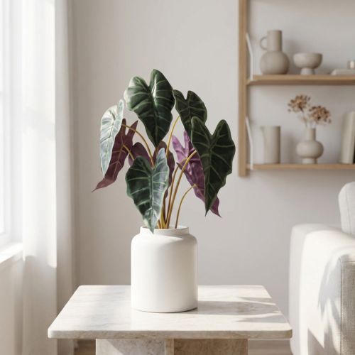 Alocasia nyíl levélzöld, ibolya műnövény H48cm | Floristik24.hu