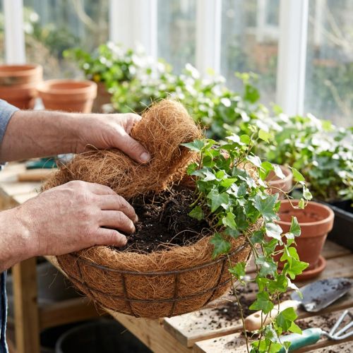 Kókuszrost természetes növényi rost természetes rost kézműves anyag 1kg | Floristik24.hu