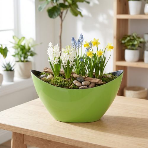 Növényi csónak zöld dísztál ovális 20cmx9cmx12cm | Floristik24.hu