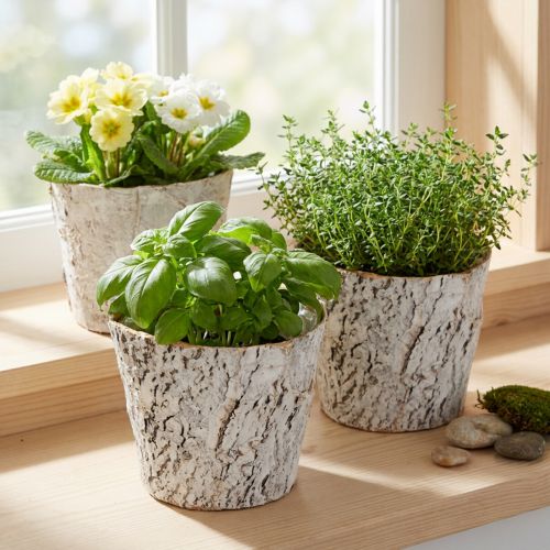 Kéregmintás kaspó, rusztikus belsőépítészethez és növények díszítéséhez ideális, 12 cm, 4 darab | Floristik24.hu
