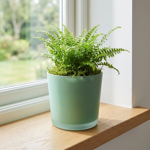 Üveg virágcserép zöld ültető üveg kád Ø11,5cm H11cm | Floristik24.hu