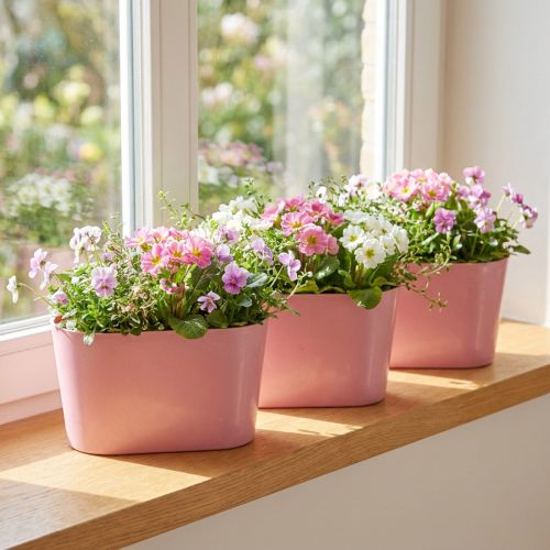 Növénytál ovális rózsaszín dísztál műanyag 20×10×11cm 3db | Floristik24.hu