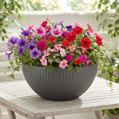 Műanyag virágtál, antracit, Ø35cm, M16.5cm | Floristik24.hu