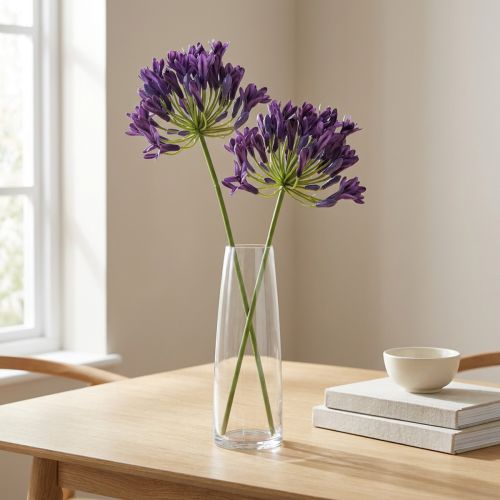Agapanthus művirág lila
