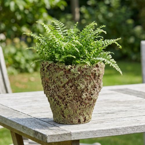 Kaspó rusztikus mohahatású virágcserép Ø17cm M16.5cm | Floristik24.hu
