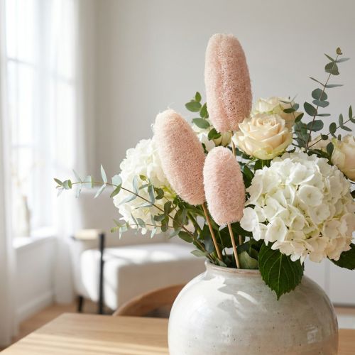 Nagy luffa pálcán, fehérített, 25 db | Floristik24.hu