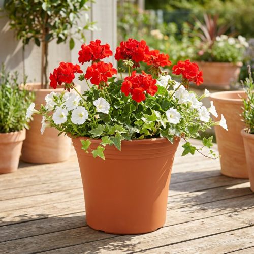 Fazék „Irys” műanyag terrakotta Ø22cm H18cm 1 db | Floristik24.hu