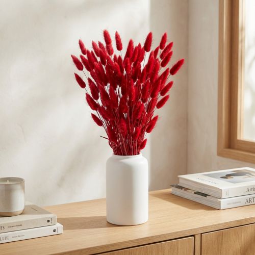 Nyúlfarkfű (Lagurus) Szárított Piros 60cm 50g Szárított Virágdekoráció | Floristik24.hu