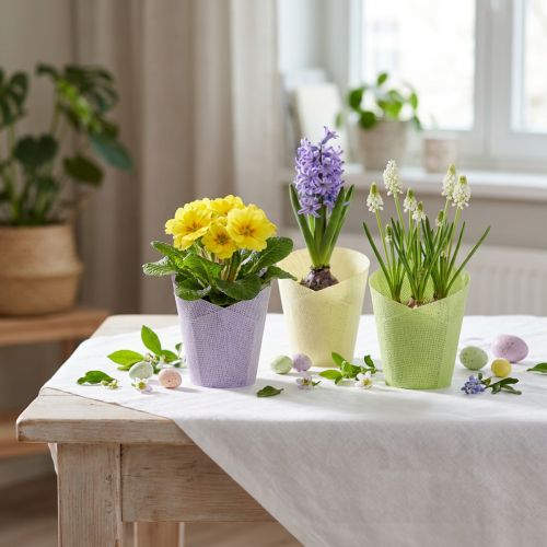 Cserepes szőtt ültetőpapír zöld, sárga, lila Ø7cm H13cm 12db | Floristik24.hu