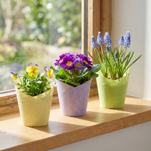 tételeket Növénycserép szőtt papír zöld sárga lila Ø9cm H18cm 9 db