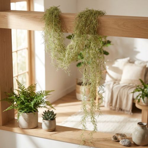 Tillandsia dekoratív akasztós Tillandsia műzöld fehér 180cm | Floristik24.hu