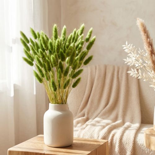 Nyúlfarkfű díszfű Lagurus olívazöld L65cm 50g | Floristik24.hu