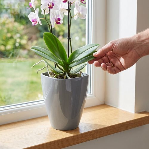 Orchidea cserép fényes Ø12,5cm szürke 1 db | Floristik24.hu