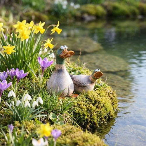 Ducks dekoratív kerámia tavaszi drake barna zöld L15cm 2 db | Floristik24.hu