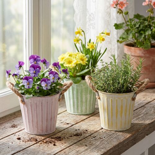 Dekoratív kaspó, fém vödör ültetéshez, ültető fülekkel, rózsaszín/zöld/sárga shabby chic Ø15cm M13cm 3 darabos szett | Floristik24.hu