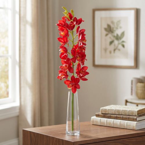 Orchid Cymbidium Red 78cm | Floristik24.hu