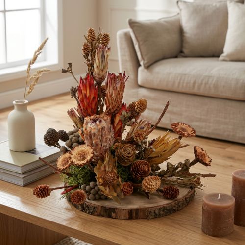 Szárított egzotikus protea tobozok, Bellgum 24–48 cm 580 g - Művirág dekoráció Dél-Afrikában | Floristik24.hu