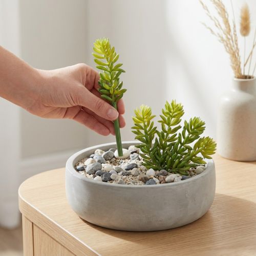 tételeket Pozsgás művirág lakó- és irodaterek alacsony karbantartási igényű kialakításához, 15 cm, 6 darab