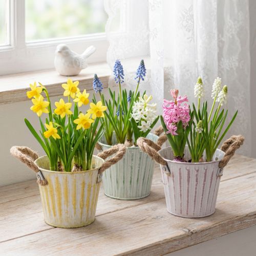 Ültetvödör, fém cserép fogantyúkkal, díszes virágtartó, rózsaszín/zöld/sárga, shabby chic, Ø12cm, M10cm, 3 db-os szett | Floristik24.hu