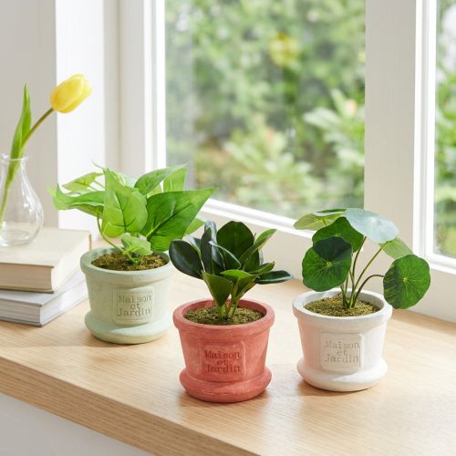 Mesterséges zöld növények mini növények cserépben 15cm 3db | Floristik24.hu