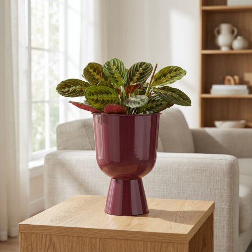 tételeket Virágcserép, csésze alakú, modern stílusú, dekoratív bármilyen otthonba és irodába, 23 cm