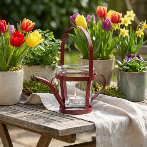 Lámpás üveg dekoratív öntözőkanna fém piros Ø14cm H13cm | Floristik24.hu